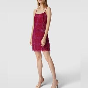 Adrianna Papell | Dresses | Adrianna Papell Raspberry Wine Sleeveless Heavy Beaded  Fringe Mini Dress 2 Nwt